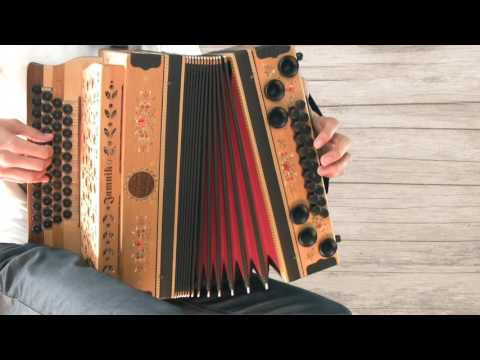 Ziachfuchs  "Wohl in da Wiedaschwing"