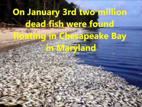 2011: A Year of Natural Disasters: What will 2012 bring?