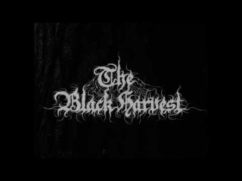 THE BLACK HARVEST - WICKED BLOODY ECLIPSE ( Promo Reh. 2016 ) )