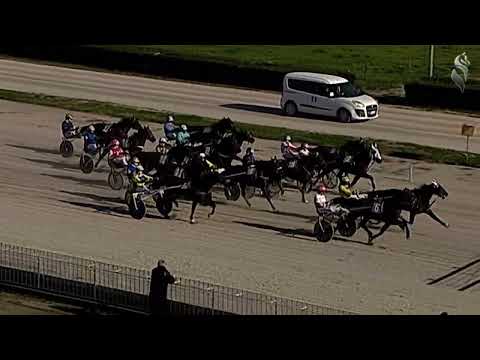 Aversa trotto 31 Dicembre 2022 - 1° Corsa