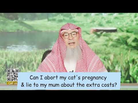Can I abort my cat's pregnancy & lie to my mum about the extra costs? #islam #cat assim al hakeem