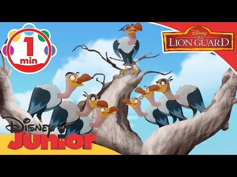The Lion Guard | All Hail the Vultures Song | @disneykids