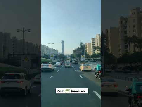 Dubai palm 🌴 Jumeirah#mujahidgillani #pakistanzindabad 🇵🇰 #dubai 🇦🇪 #trending