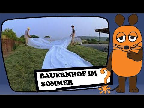 Bauernhof-Sommer