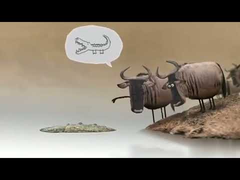 20/8/2022/ August This is life Animation WhatsApp status