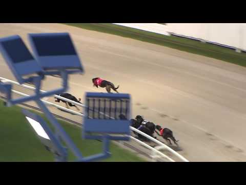 2017 STAR SPORTS DERBY - ROUND 1 HEAT 8 - T4 COLLEGE PARADISE