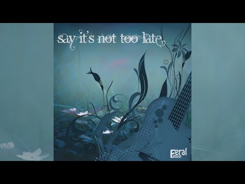 Feral Ghost - Say It's Not Too Late (Official Music Video)