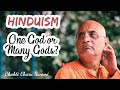 Hinduism One God or Many Gods HH Bhakti Charu Swami