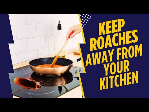 How to Get Rid of Roaches in Stoves, Ovens, Microwaves?