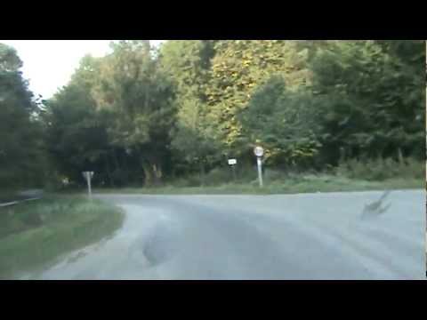 Rajd Dziennikarzy Classic Auto Dębica 2009 - Peugeot 205GTi Wysocki/Karczewski OS Laskowa2