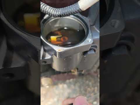 Yamaha Tilt/Trim Motor