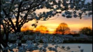 Michael W. Smith - Hello, Goodbye Lyric Video