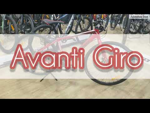 Avanti Giro FM1