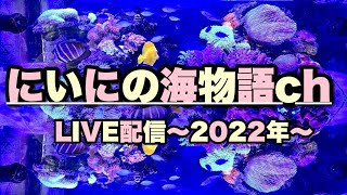 【LIVE vol.106】会社の飲み会から逃亡成功！！～にいにの海物語ｃｈ～