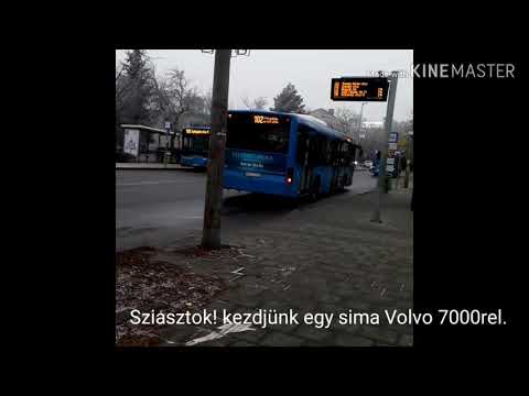Buszok a 102-es autóbusz vonalán 2019. Válogatás