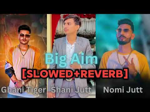 BIG AIM | Ghani Tiger | Nomi Jutt | Shani Jutt | Slowed + Reverb | Official Music Video