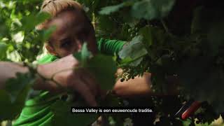 YouTube: Domaine Bessa Valley Petit Enira