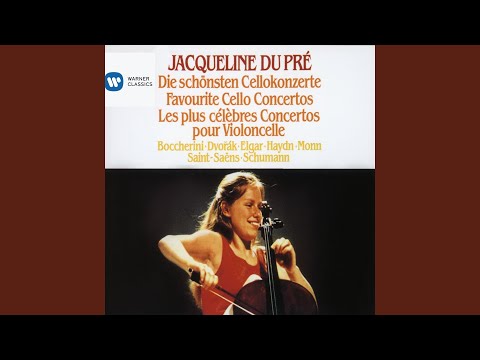 Cello Concerto No. 9 in B-Flat Major, G. 482: I. Allegro moderato