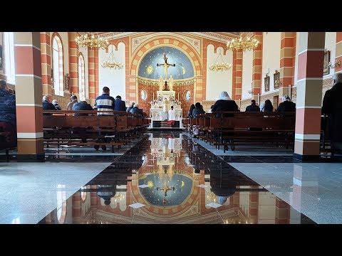 Zagubiona owca idzie pod nóż - kazanie na niedzielę Dobrego Pasterza