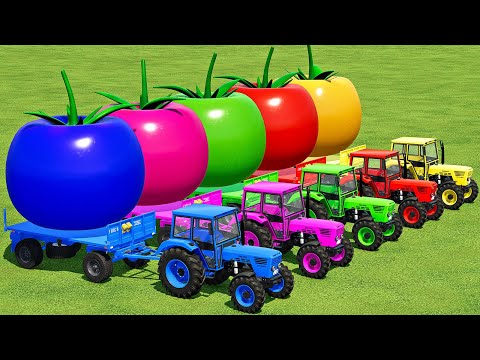 LOAD AND TRANSPORT GIANT TOMATOES WITH MERCEDES & DEUTZ TRACTORS - Farming Simulator 22