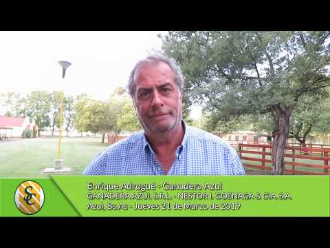 21-03-19 - Enrique Adrogué - Ganadera Azul S.R.L. - Azul