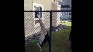 When Tinashe Hit That Note in All Caught Up