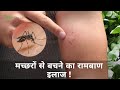 Mosquito Bites Home Remedies मच्छरों से कैसे रहें बचकर क