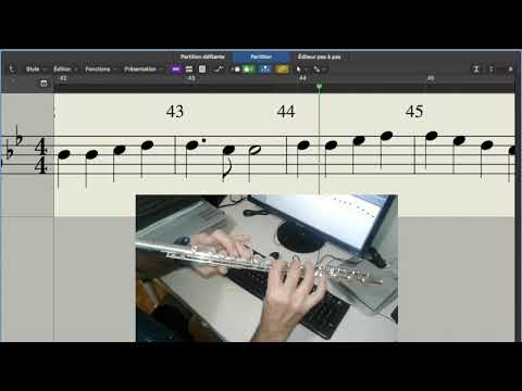 Ode to joy Beethoven  - flute