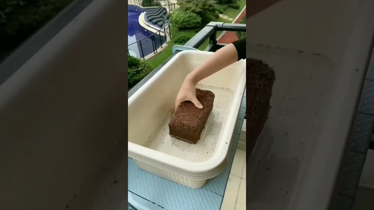 Kraft Seeds   Cocopeat Brick 1kg Block for Gardening & Plants, Expands into Coco Peat Powder Pack of