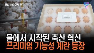 물에서 시작된 축산 혁신 프리미엄 기능성 계란 등장 | 매거진 Y 23화