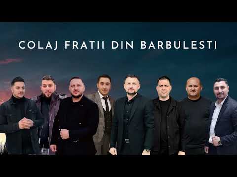 Colaj Fratii din Barbulesti