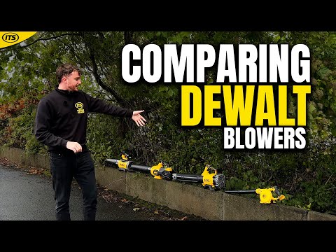 Dewalt Blowers 2025 - Which Should I Buy?