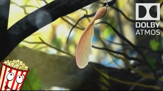 Dolby Atmos - Leaf - (With Download)