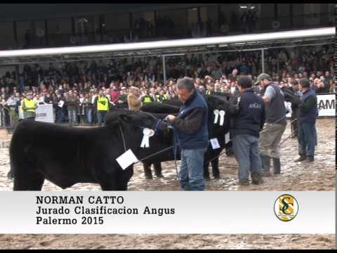 31-07-15 Norman Catto ( Jurado Clasificación Angus ) - Palermo 2015.