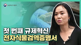 10일 걸리던 것이 단 몇초만에!? 전자식물검역증명서 | 2021 규제혁신