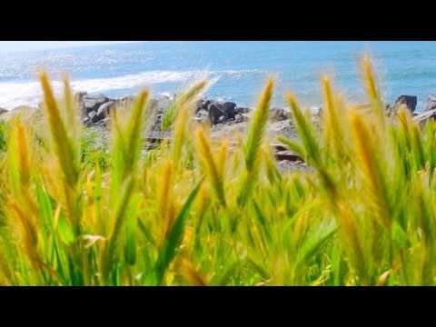 OutraCultura - OBSCURE SOLITUDE