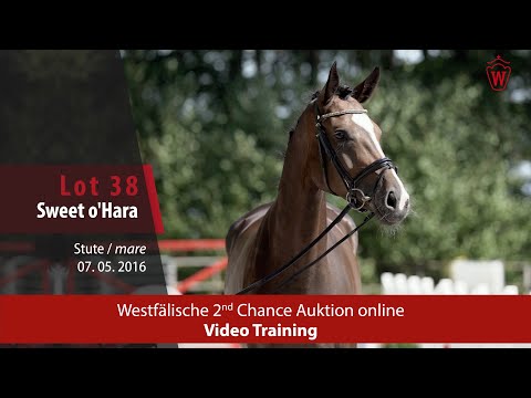 Westfälische 2nd Chance Auction - 12. bis 16. November - Nr. 38 Sweet o´Hara