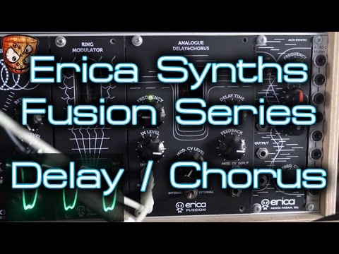 Erica Synths Fusion Series - Tube Delay/Chorus