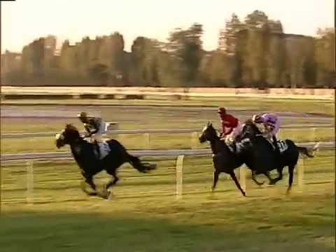 2016.09.25 Premio Elena Cumani (ITA) - Silver Step