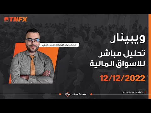 ويبينار تحليل مباشر للاسواق المالية، مقدم من قبل خبراء المحللين في شركةTNFX 12/12/2022