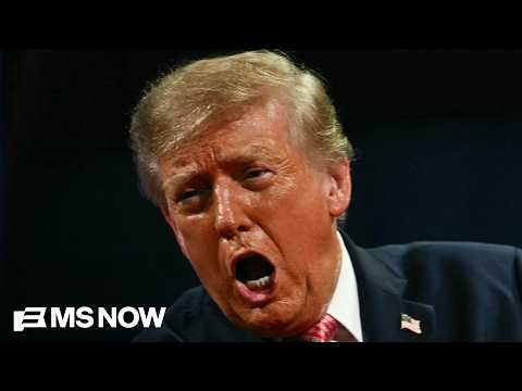 Trump 'is going to absolutely spiral' if Dems take control of Congress: Ex-Trump WH official