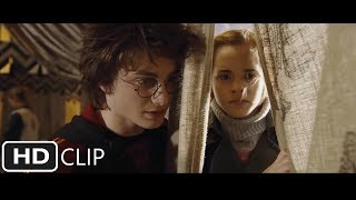 The First Task  Harry Potter and the Goblet of Fir
