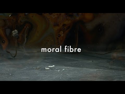Gold Spectacles - Moral Fibre