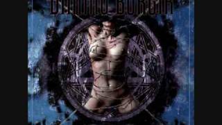 Dimmu Borgir - Maelstrom Mephisto