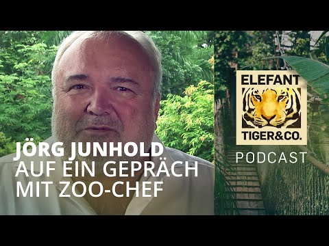 ETC der Podcast: Auf ein Gespräch mit Zoo-Chef Jörg Junhold