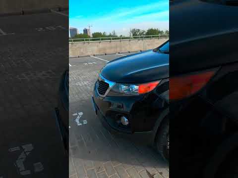 фото kia sorento  0