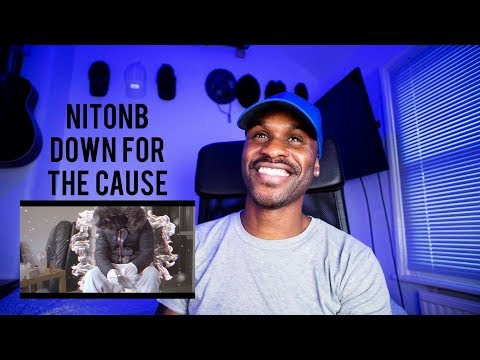 NitoNB X M1onthebeat - Down for the cause (Music Video) | Pressplay [Reaction] | LeeToTheVI