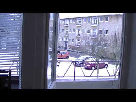 MongoTV_237 - Del 1 - Godmorgen Og God Onsdag