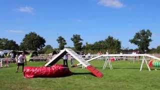 preview picture of video 'BRESSUIRE : Concours National d'AGILITY à Noirterre (31 août 2014)'