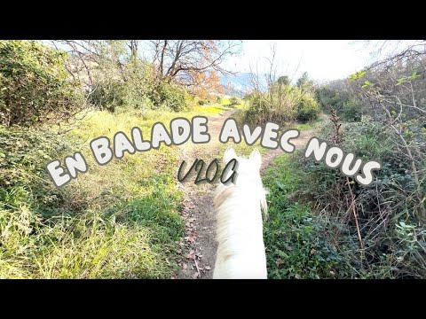 BALADE EN TETE A TETE - Il ne coopère pas 😔